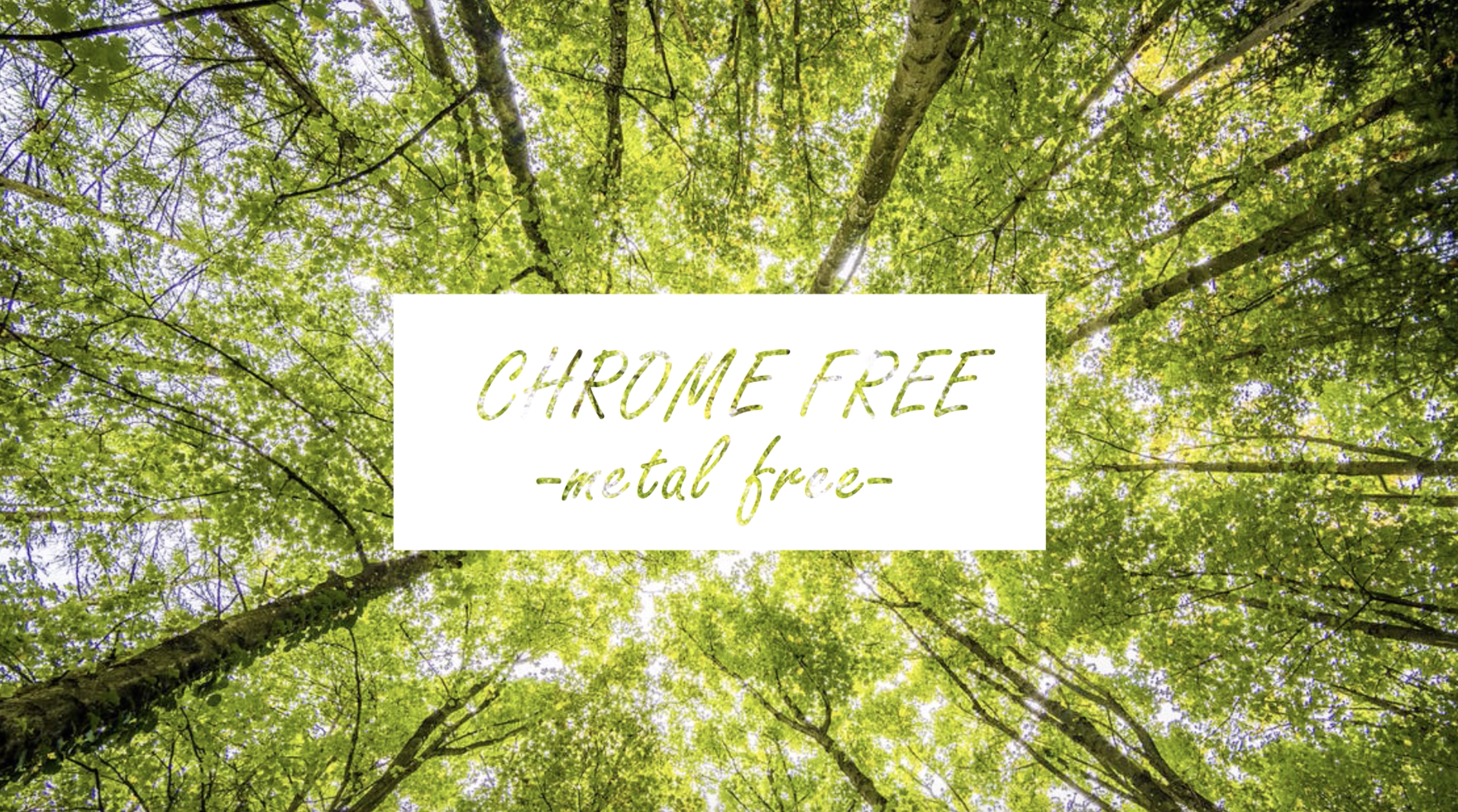 Chrome_Curtidos-Vazquez