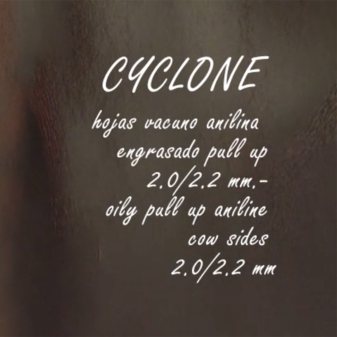CYCLON