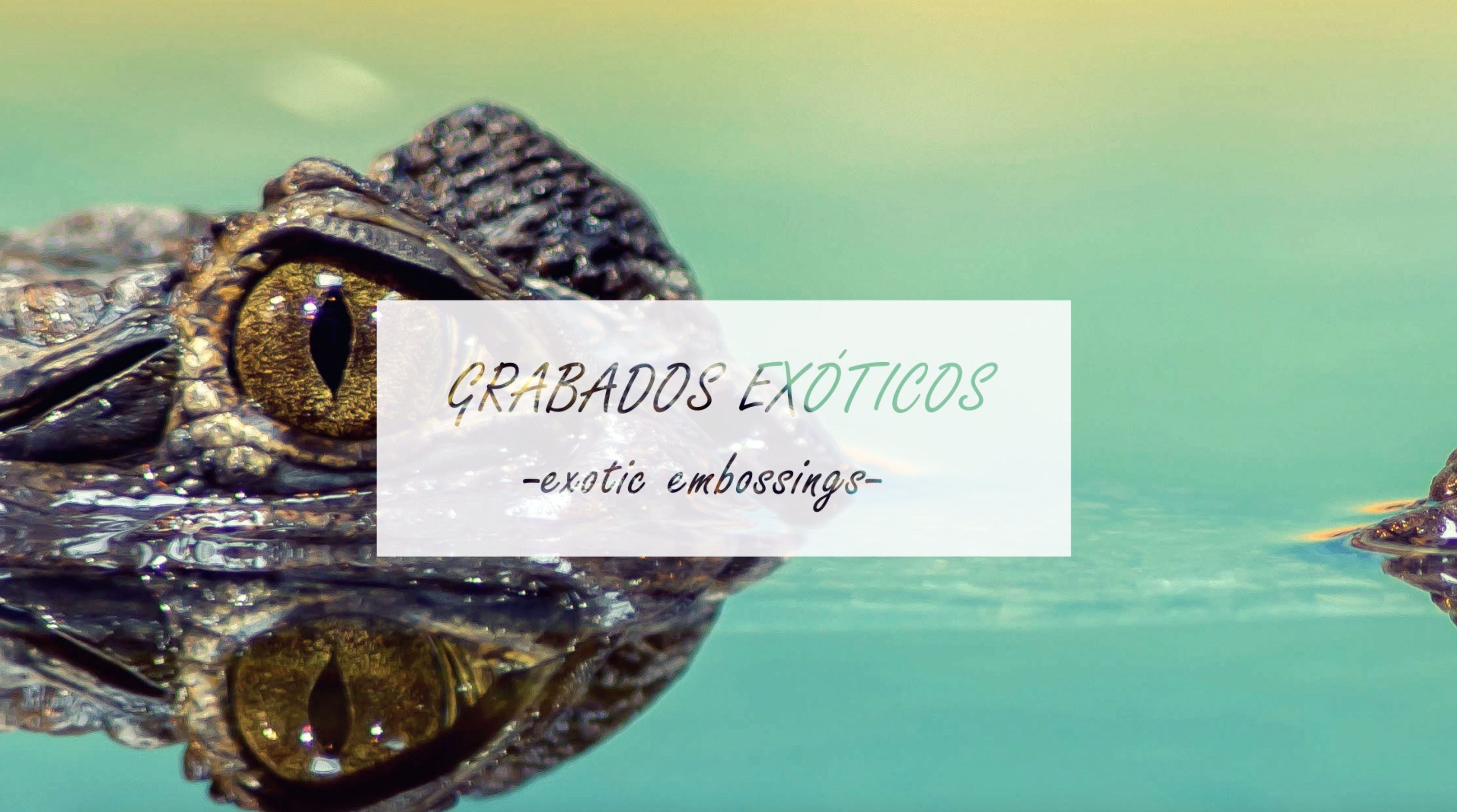 Grabados_Curtidos-Vazquez