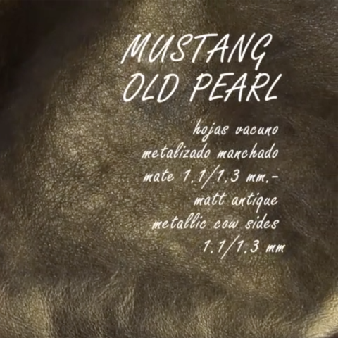 MUSTANG OLD PEARL