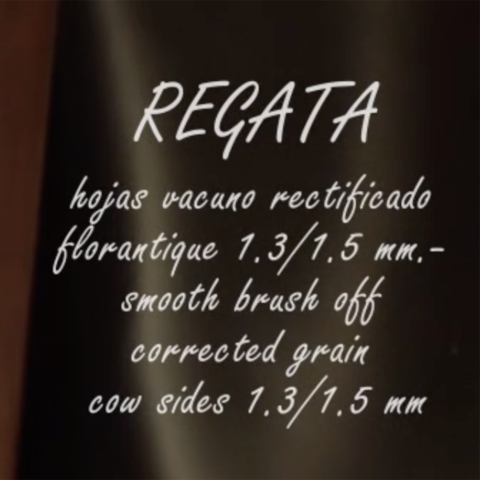 REGATA