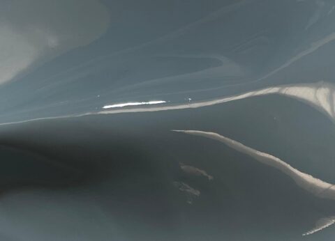 Piel Charol metalizado