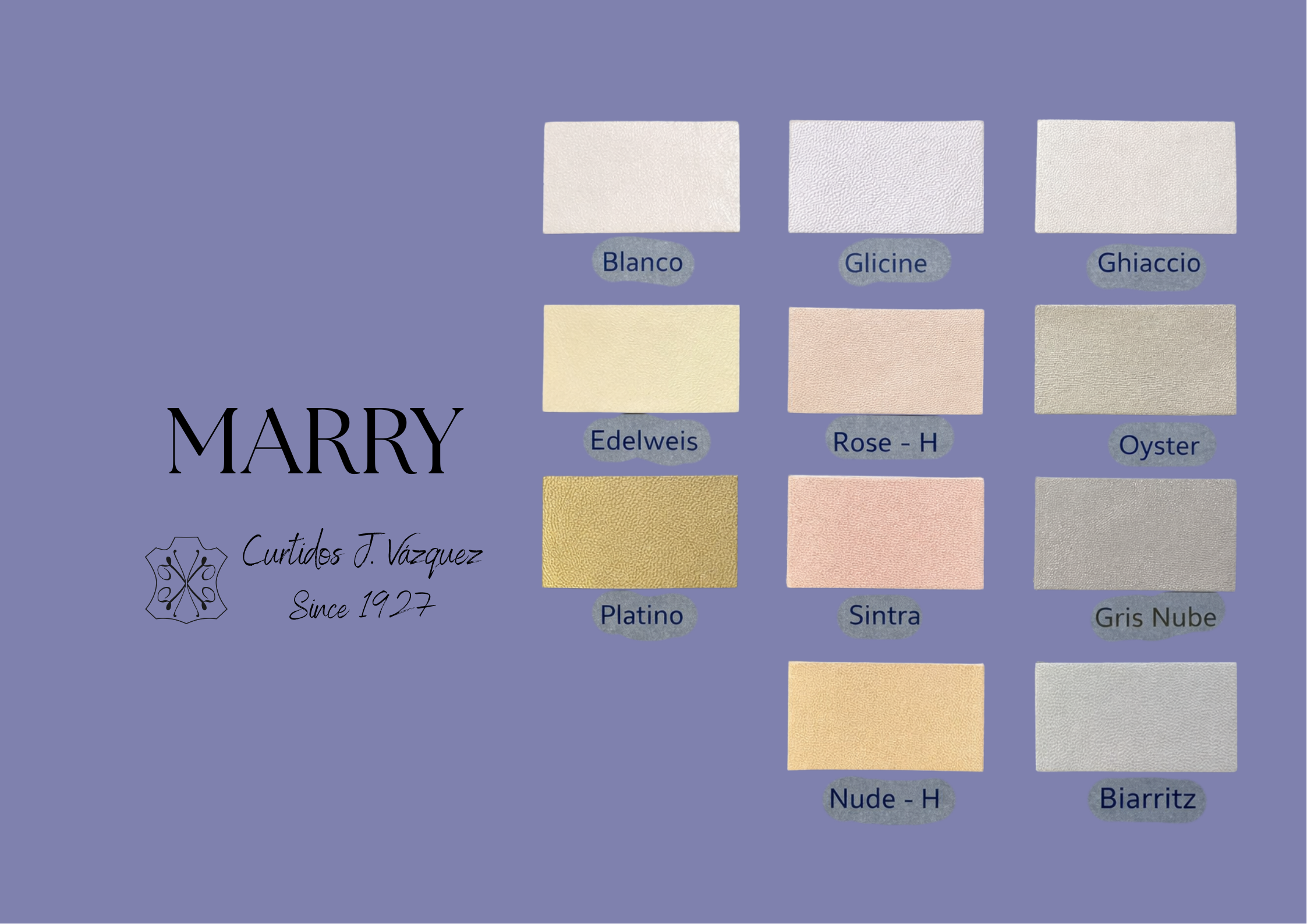 Carta de colores de piel mestizo metalizado