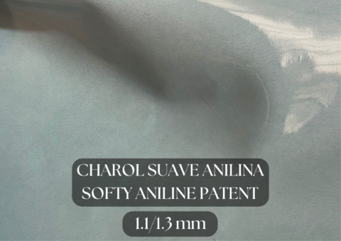 Piel Charol Liso anilina