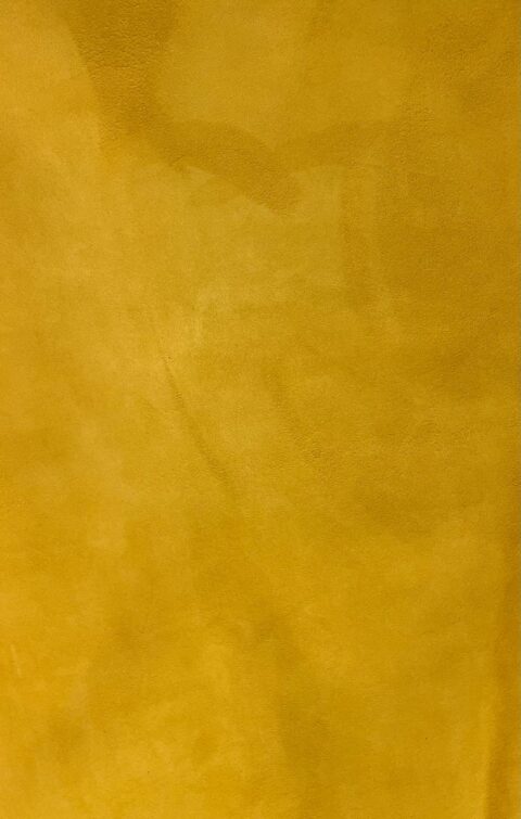 Piel Ante Cabra color Mustard