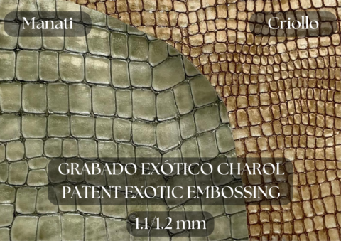 Piel Charol grabado exótico