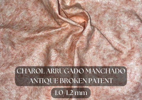 Piel charol arrugado y manchado