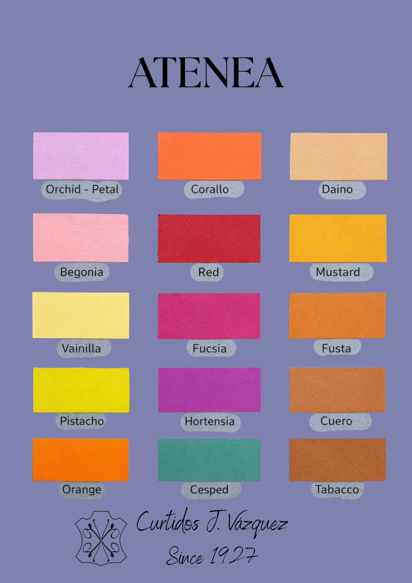 Carta de colores napa suave