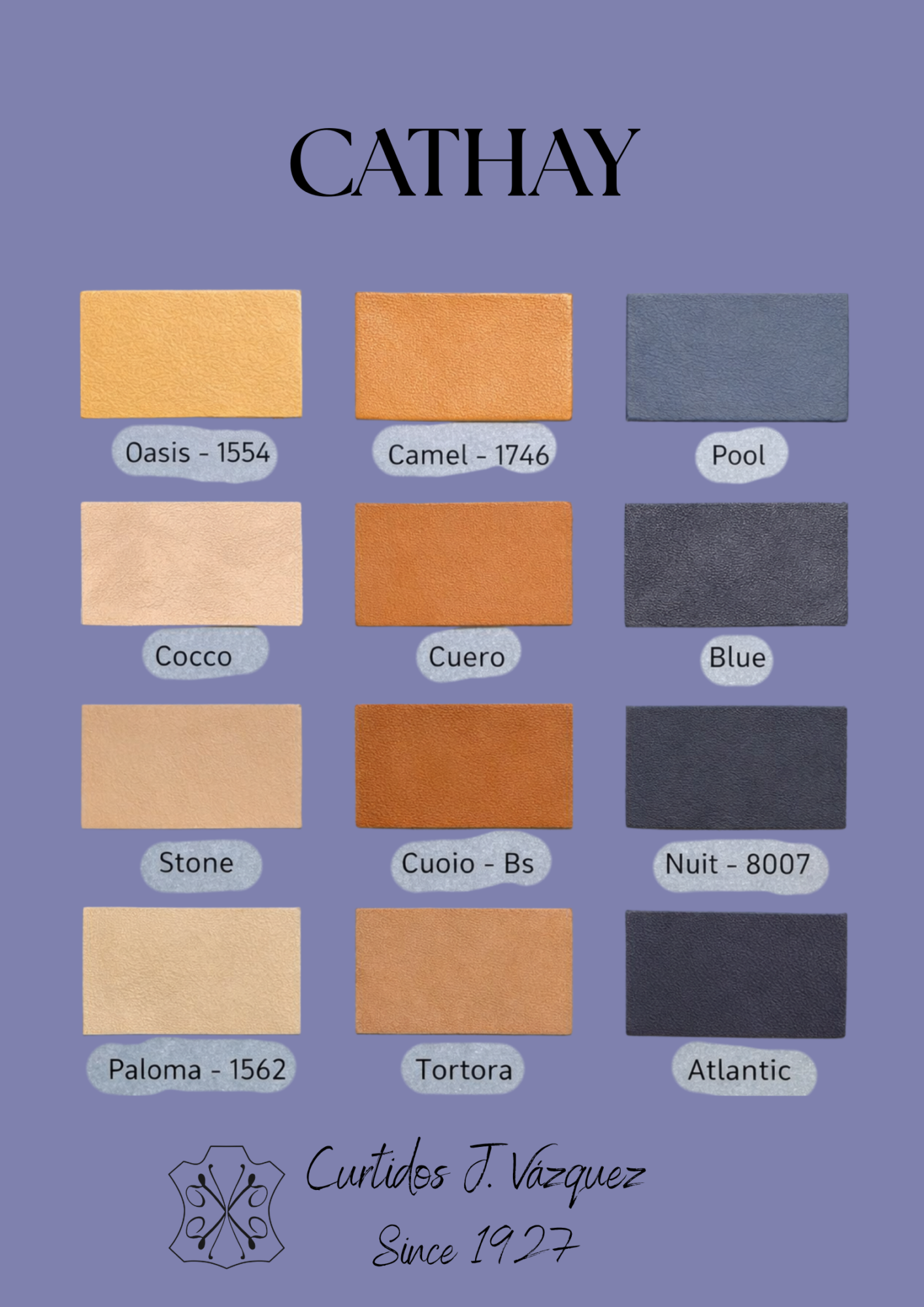 Carta de colores napa lisa verano