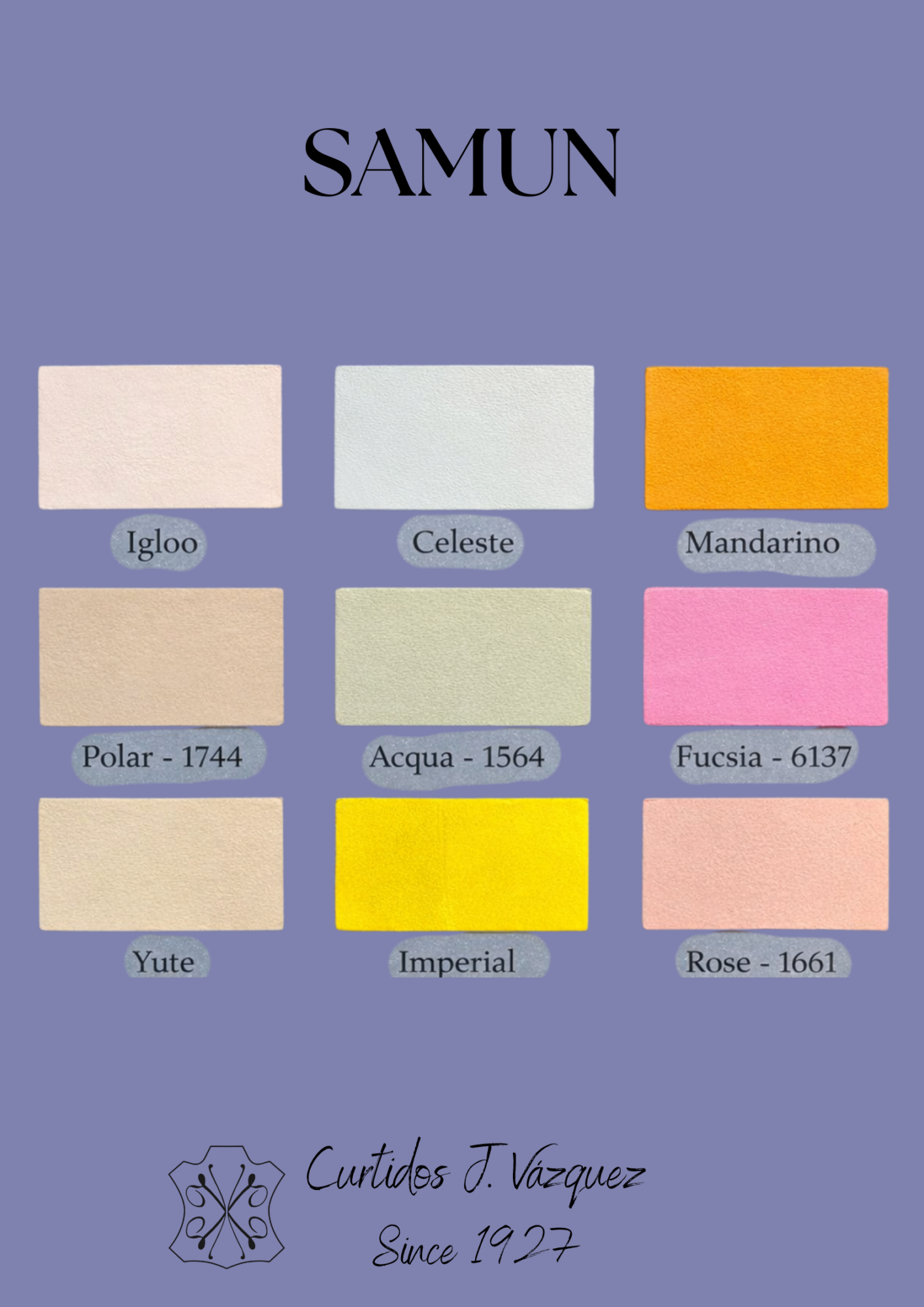 Carta de colores napa lisa mate pulible