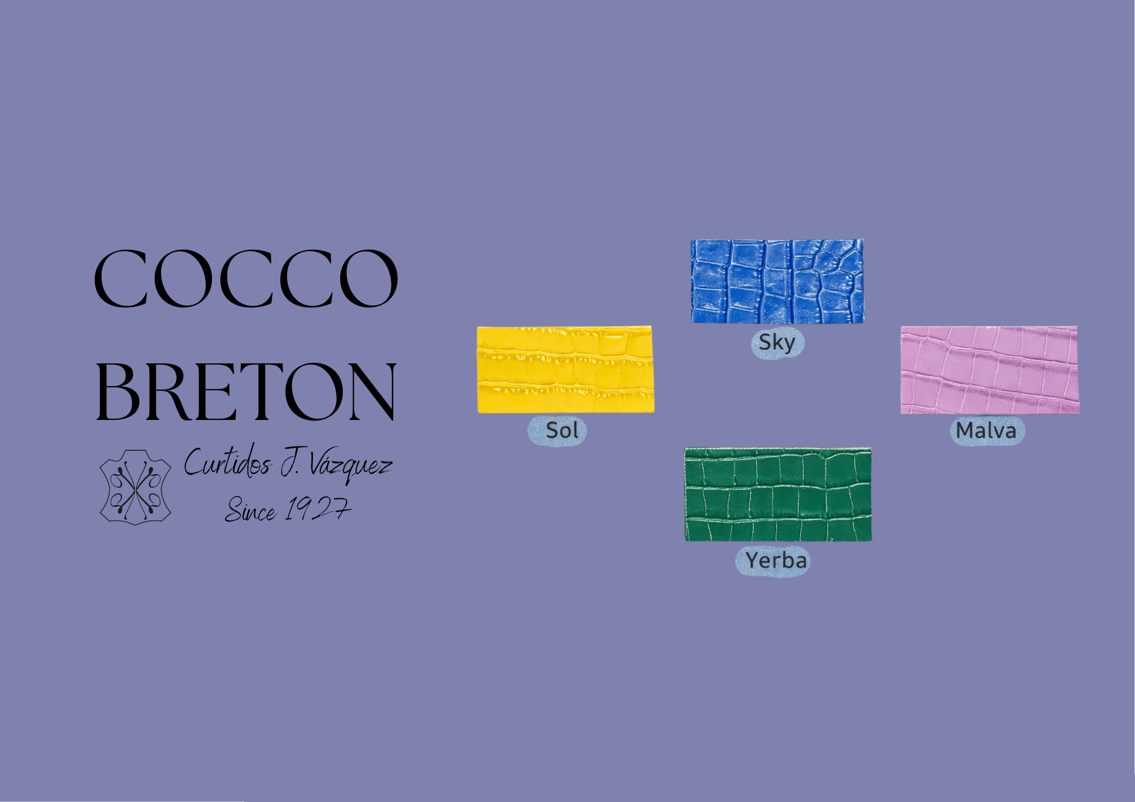 Carta de colores Piel vacuno grabado cocco