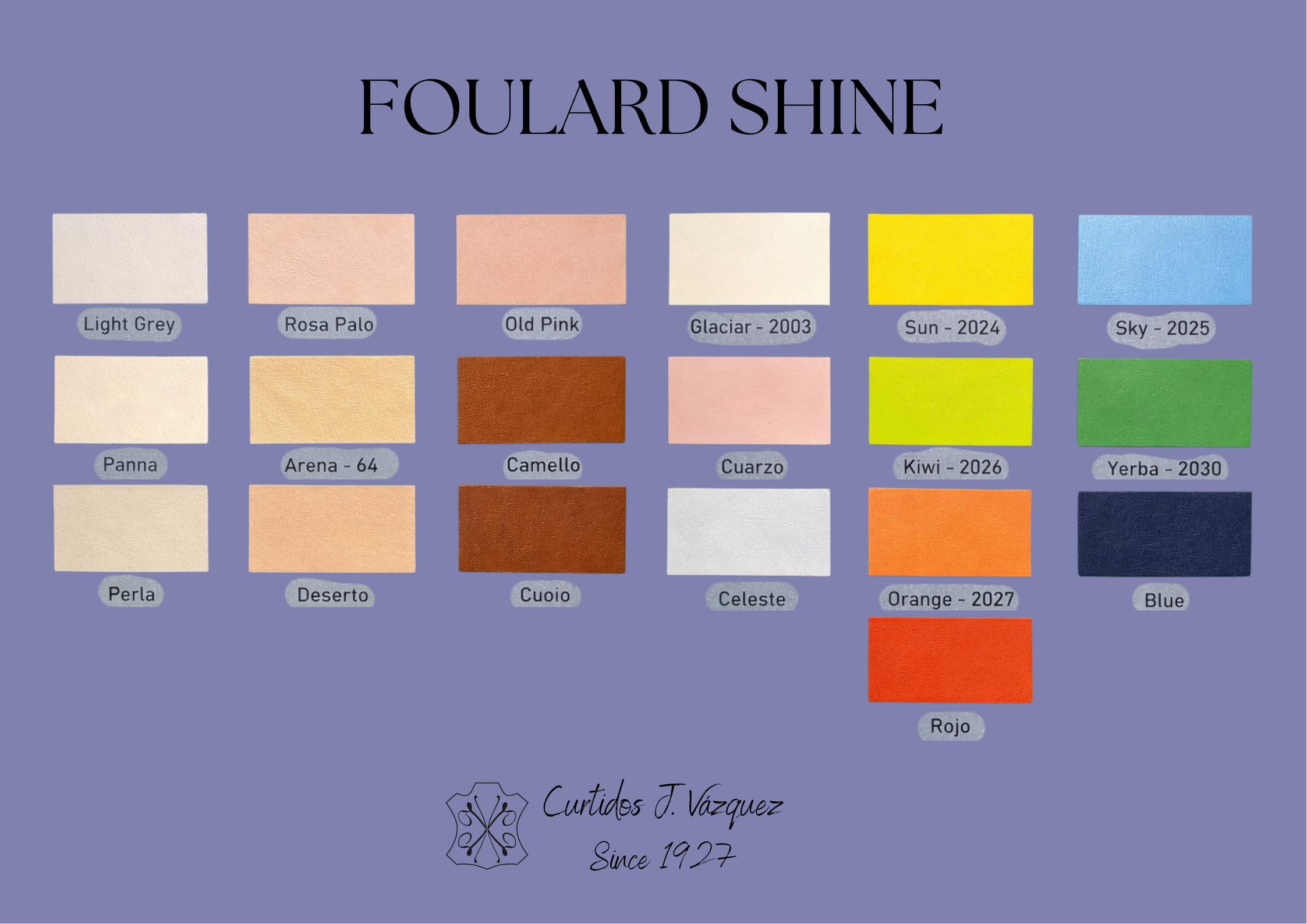 Carta de colores napa clasica brillo