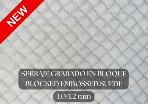 Piel serraje grabado en bloques