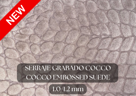 Piel de serraje grabado cocco