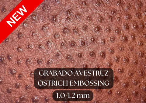 Piel grabado avestruz