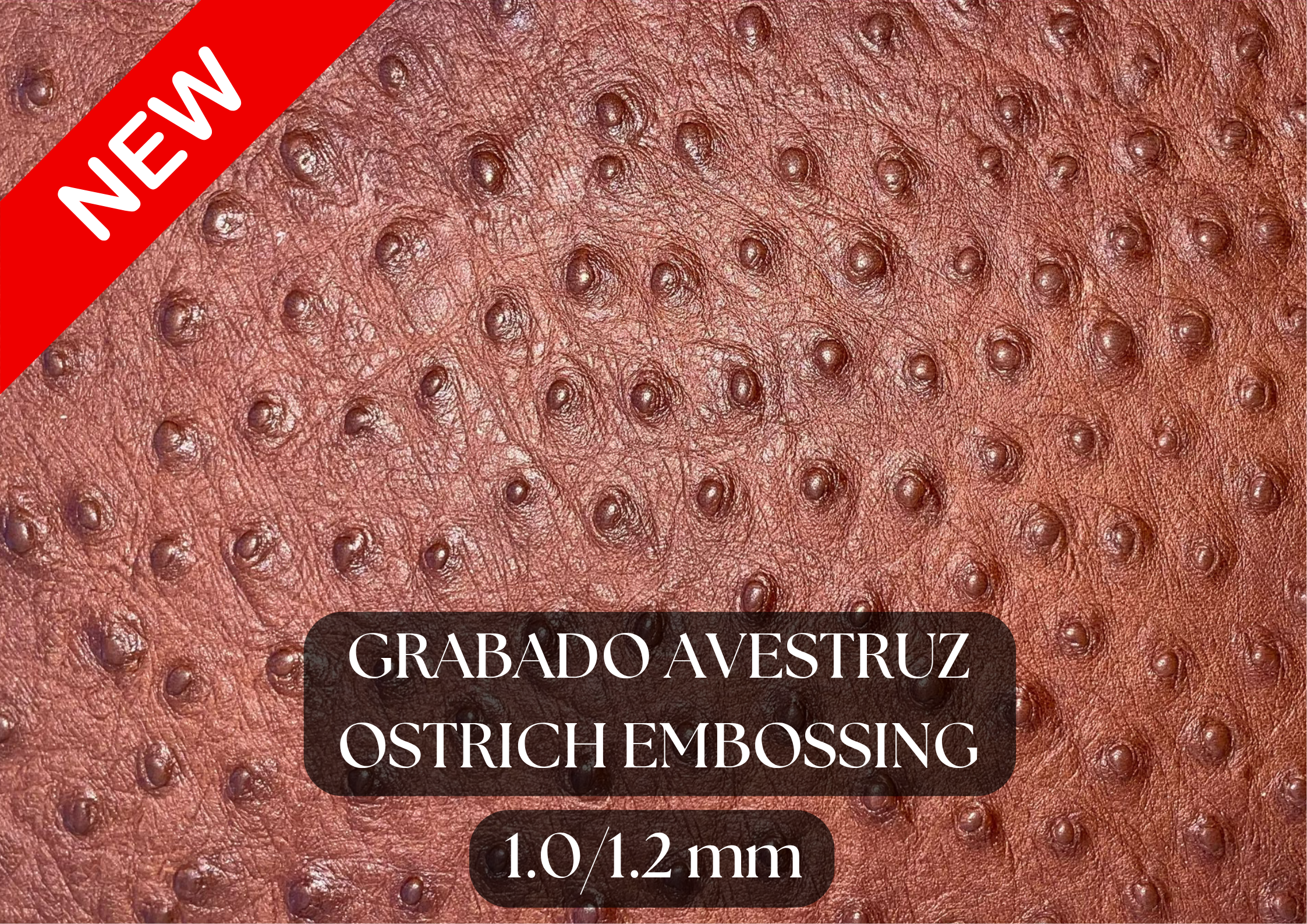 Piel grabado avestruz