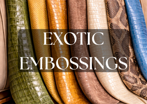 GRABADOS AUTUMN-WINTER