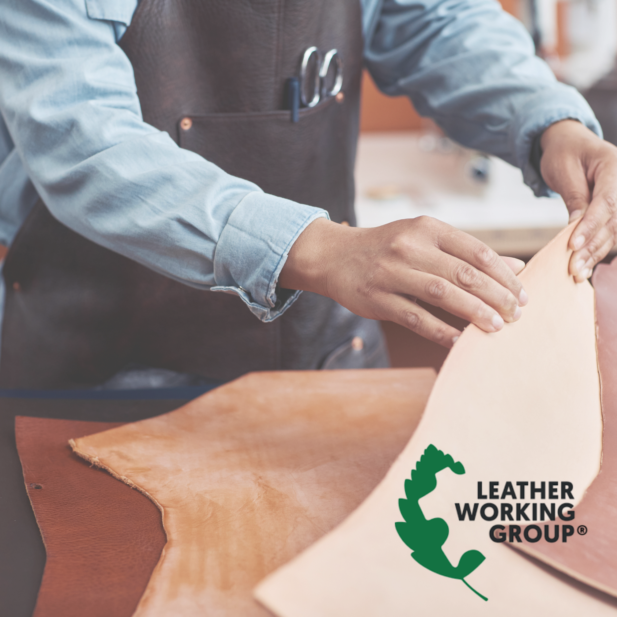 Calidad y certificación