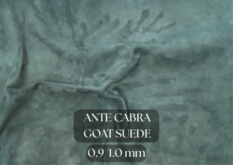 Muestrario Ante Cabra