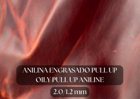 Piel anilina engrasado pull up