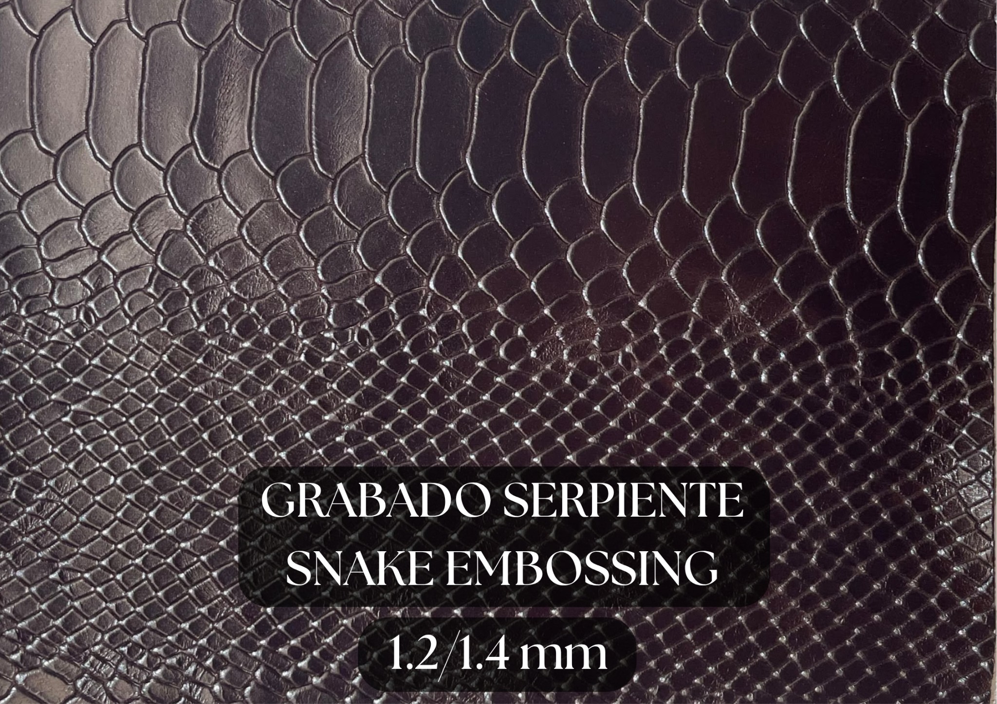 Piel grabado serpiente