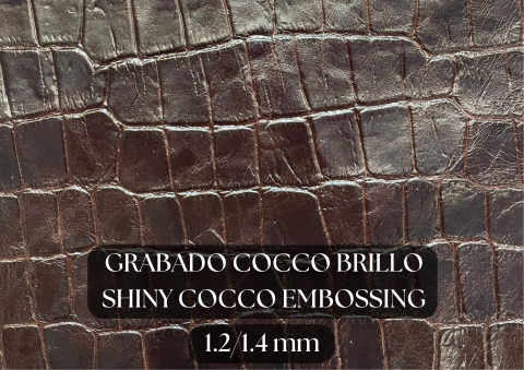 Piel grabado cocco brillo