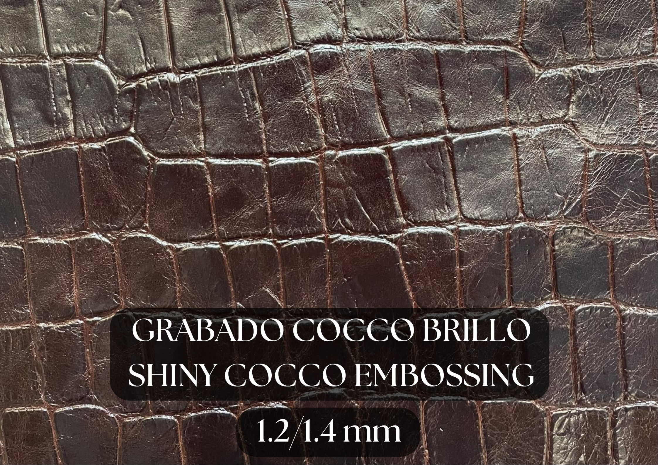Piel grabado cocco brillo