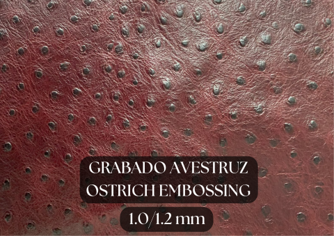 Piel grabado avestruz