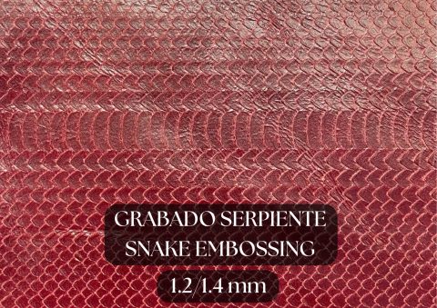 Piel grabado serpiente cortada